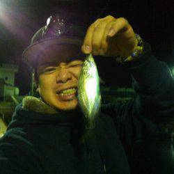 アジングナイト